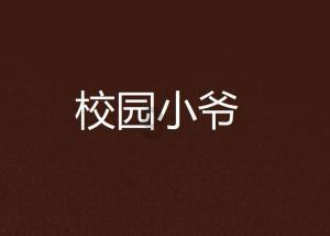 混乱特工